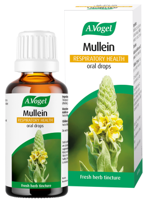 A. Vogel Mullein Drops 50ml