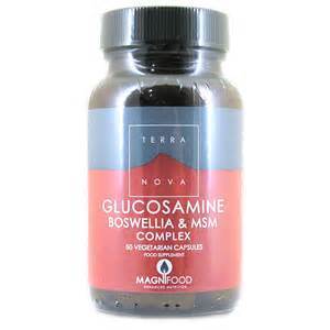 Terranova Glucosamine/Boswellia/MSM Complex 100 Caps